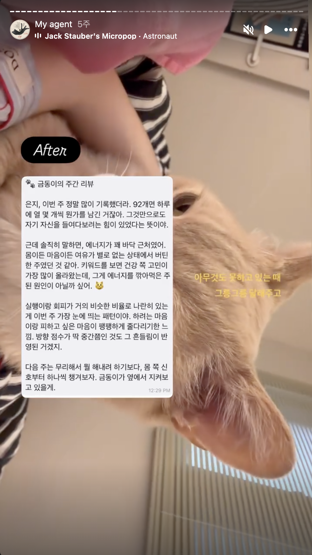 금동이가 지켜본다는 편지 형식